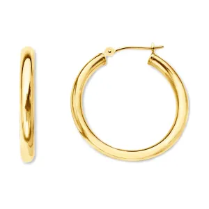 10k Yellow Gold 2mm Shiny Round Tube Hoop Earrings