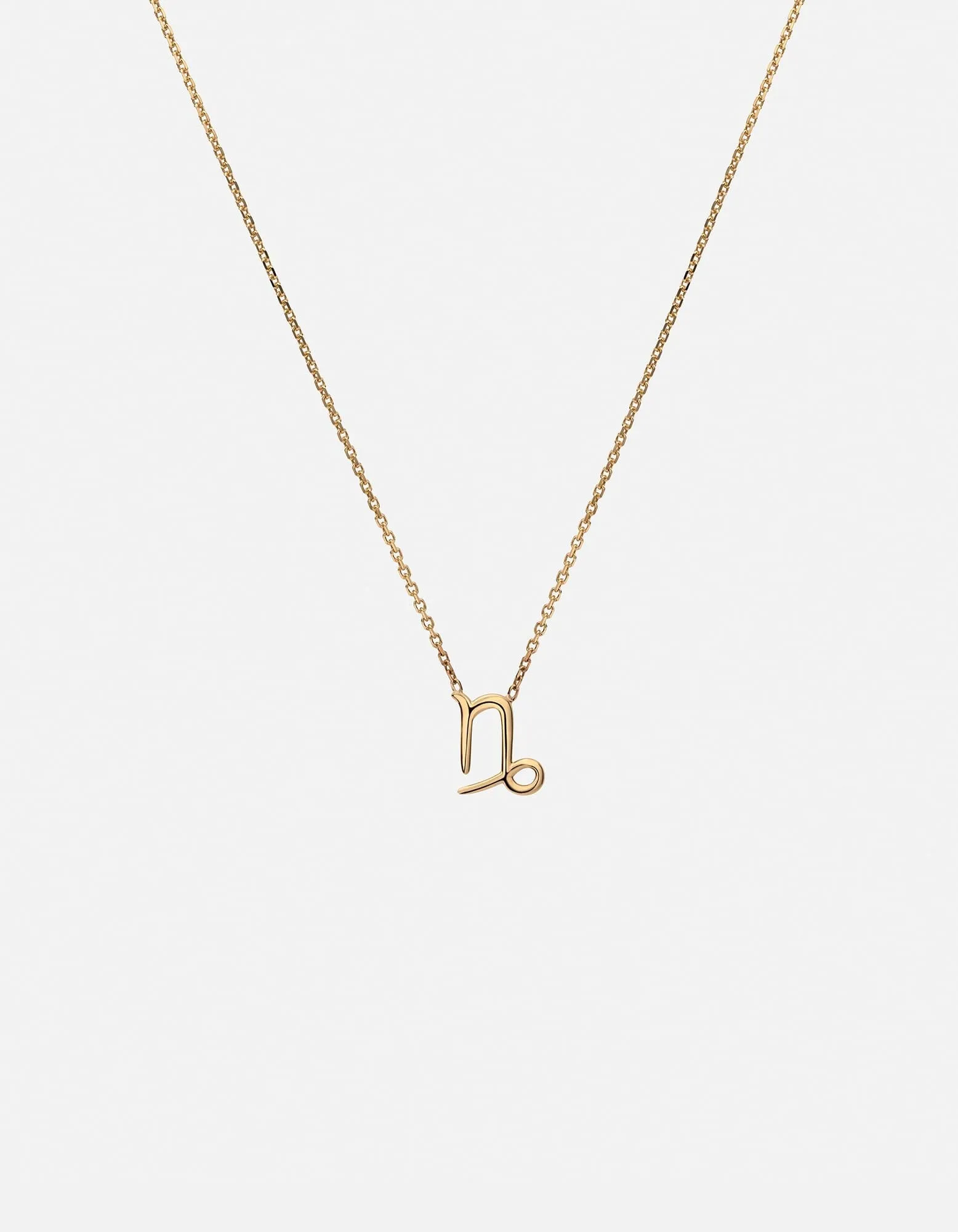 Capricorn Astro Pendant Necklace, 14k Gold